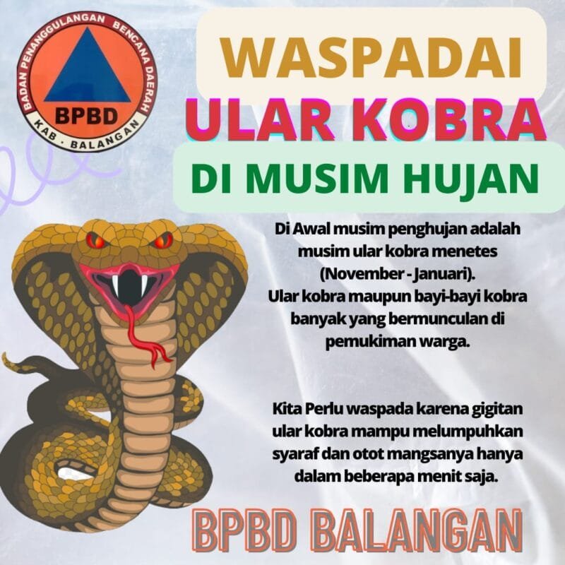 sumber|foto:InfoPublik|BPBD Balangan, (doc). 