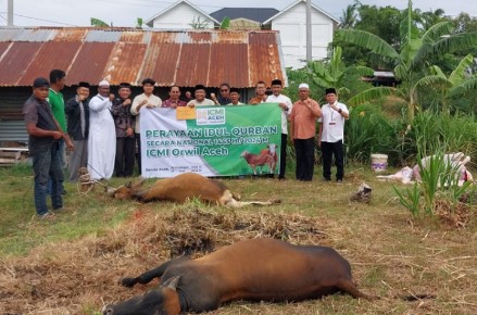 Ikatan Cendekiawan Muslim Indonesia (ICMI)Aceh tahun 2024 ini menyembelih 4 (empat) ekor sapi. Tiga ekor sapi telah disembelih, Senin (17/06/2024) kemarin, dan satu ekor lagi akan disembelih, Rabu (19/06/2024) besok. Foto: Istimewa.