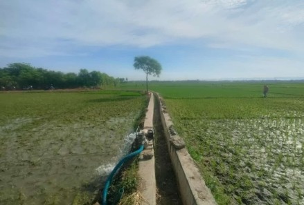 Petani Blang Raya Kecamatan Simpang Tiga Aceh Besar manfaatkan pompanisasi untuk airi sawah, Rabu (25/06/2024). FOTO/MC ACEH BESAR