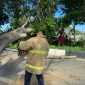 Petugas BPBD Aceh Besar memotong dahan pohon yang tumbang menutupi jalan, di Gampong Pasie Lamgarot, Kecamatan Ingin Jaya, Aceh Besar, Rabu (8/1/2024) pagi. FOTO/ MC ACEH BESAR