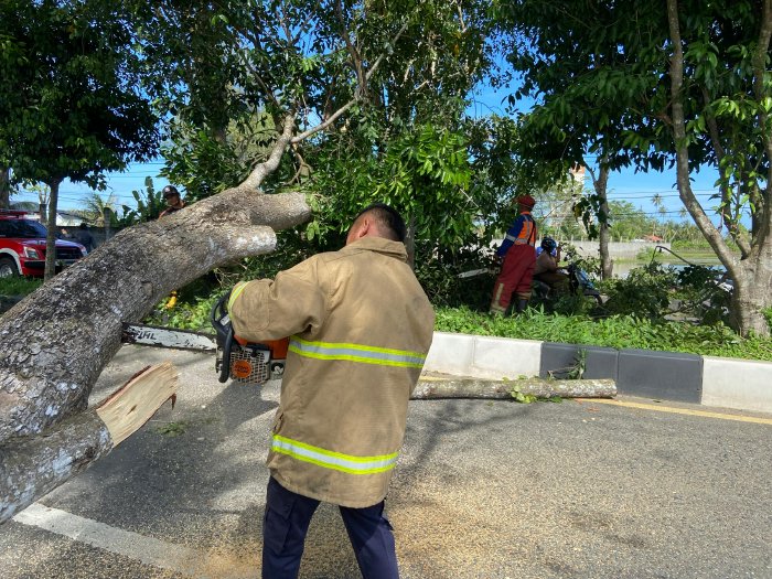 Petugas BPBD Aceh Besar memotong dahan pohon yang tumbang menutupi jalan, di Gampong Pasie Lamgarot, Kecamatan Ingin Jaya, Aceh Besar, Rabu (8/1/2024) pagi. FOTO/ MC ACEH BESAR