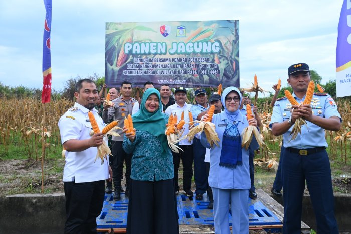 Pj Bupati Aceh Besar Muhammad Iswanto SSTP MM didampingi Danlanud SIM Kolonel Pnb, Hartarno Edi Sasmoyo, M.Han memperlihatkan hasil panen jagung kebun jagung milik Lanud SIM, Blang Bintang, Aceh Besar, Rabu (08/01/2025). FOT0/MC ACEH BESAR