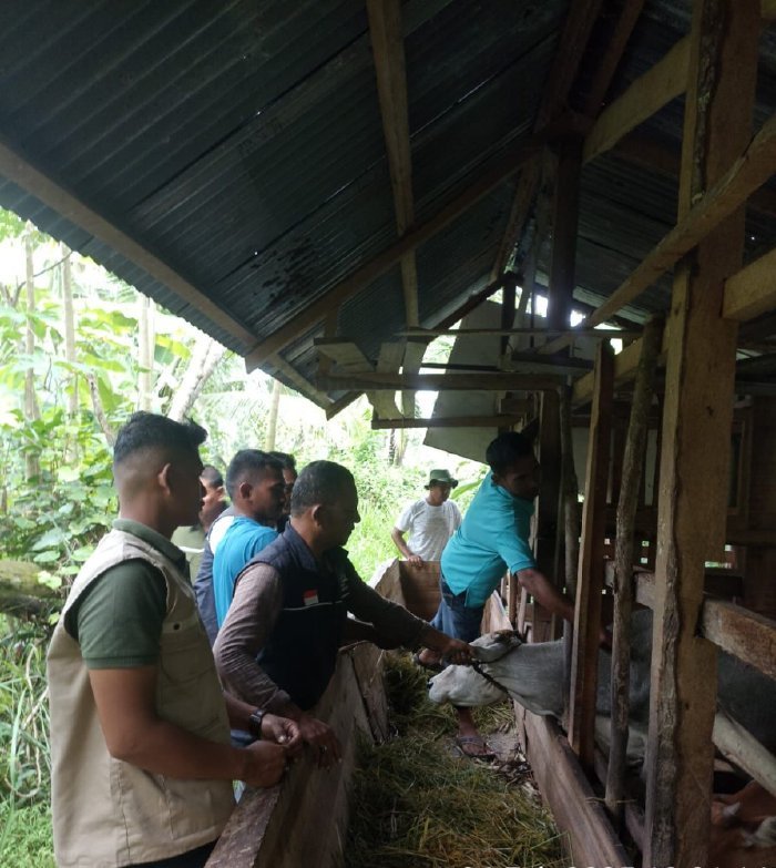 Kepala Bidang Peternakan Dinas Pertanian Aceh Besar, Uzir SPt MSi membantu Satgas PMK menyuntikan vaksin terhadap sapi milik masyarakat Kecamatan Kuta Baro, Kabupaten Aceh Besar, Rabu (26/2/2025). Foto: Dok. MC Aceh Besar