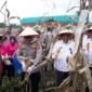 Plt Sekda Aceh Besar, Bahrul Jamil, SSos MSi, sedang memanen jagung di Gampong (desa-red) Alue Rindang, Kecamatan Seulimuem, Kabupaten Aceh Besar, Rabu (26/2/2025). Foto: Dok. MC Aceh Besar. 