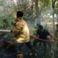 Petugas Damkar BPBD Aceh Besar melakukan pendinginan pada kebakaran lahan yang terjadi, di kawasan Sukamulia, Kecamatan Lembah Seulawah, Kabupaten Aceh Besar, Rabu (2/7/2025). FOTO/ MC ACEH BESAR
