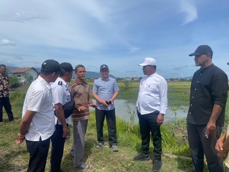 Bupati Aceh Besar, H Muharram Idris atau yang akrab disapa Syech Muharram, meninjau kawasan persawahan Blang Tamak di Gampong Lamtimpeung, Kemukiman Tungkop, Kecamatan Darussalam, Kabupaten Aceh Besar, Rabu (23-07-2025).