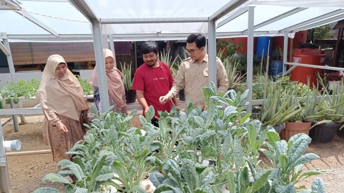 Ketua DPRK Banda Aceh, Irwansyah ST, Owner Kebun Mint, Teguh dan pihak penyuluh saat menyambangi areal kebun mint tersebut pada, Sabtu 19/7/2025 (Foto:Ist)