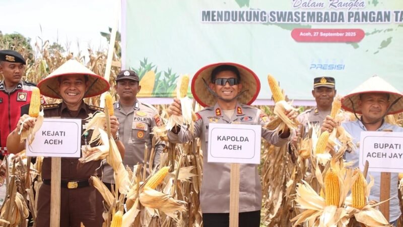 Sementara di wilayah Aceh, panen jagung secara serentak dipusatkan di Desa Pulo Tinggi, Kecamatan Pasie Raya, Kabupaten Aceh Jaya, Sabtu, 27 September 2025.