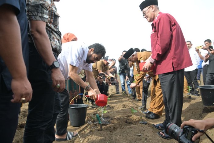 Gubernur Aceh Muzakir Manaf atau akrab disapa Mualem berkomitmen mendukung penuh petani cabai dan nilam di dataran tinggi Gayo sebagai bagian dari upaya pengendalian inflasi serta peningkatan kesejahteraan masyarakat Selasa (9/9/2025) siang.