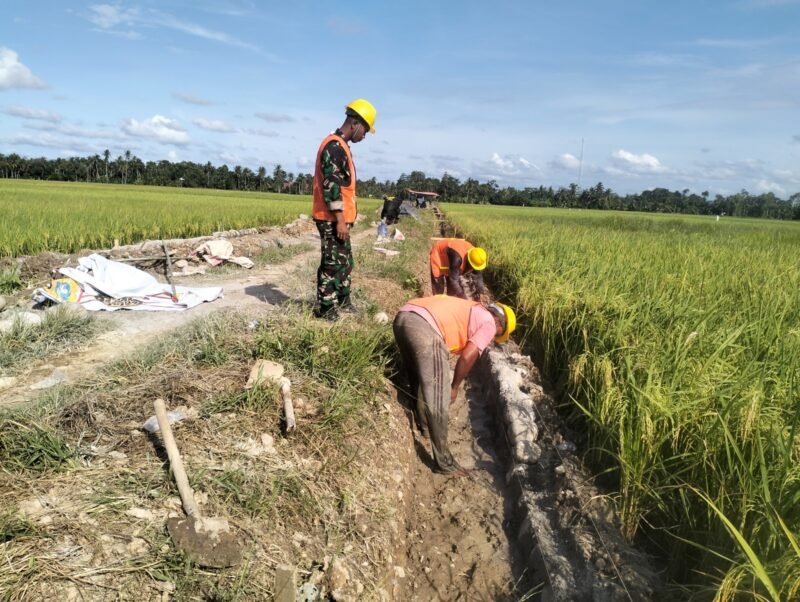 Kegiatan tersebut dilaksanakan secara serentak di sejumlah wilayah jajaran Koramil Kodim 0103/Aceh Utara, Sabtu (8/11/2025).