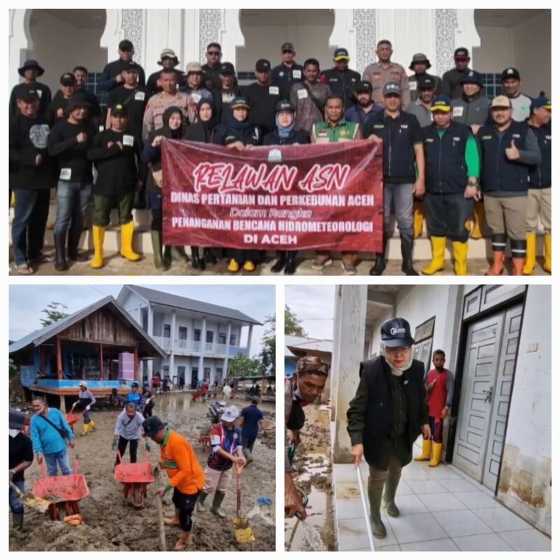 Kapala dinas Distanbun Aceh, Ir. Cut Huzaimah, memimpin langsung kegiatan gotong royong bersama relawan ASN untuk membersihkan lumpur pasca banjir yang melanda Pidie Jaya,pada tanggal 29-30 Desember 2025.